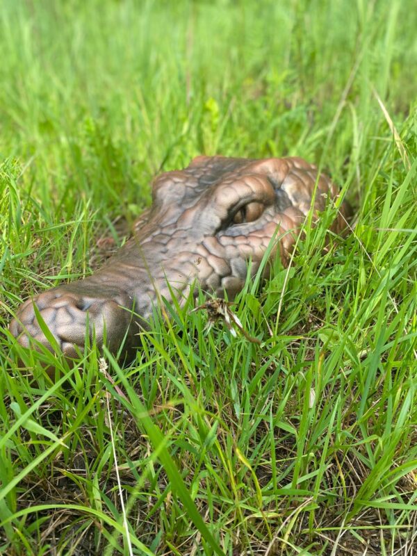 krokodil 3