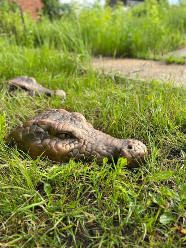 krokodil 6