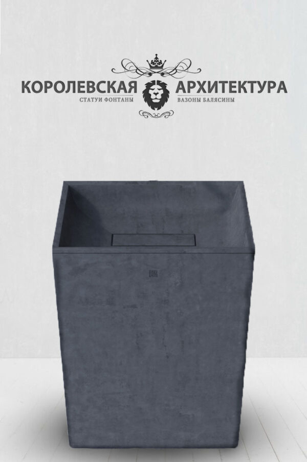 красивая раковина