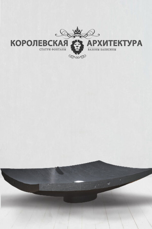 красивая раковина
