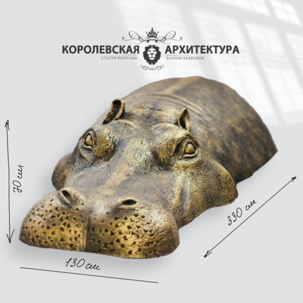 image 2022 12 29 013955
