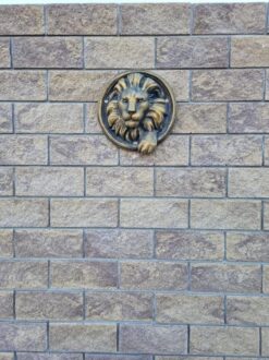 photo1639206844