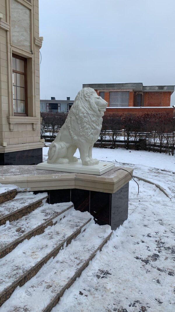 photo1669206851 1