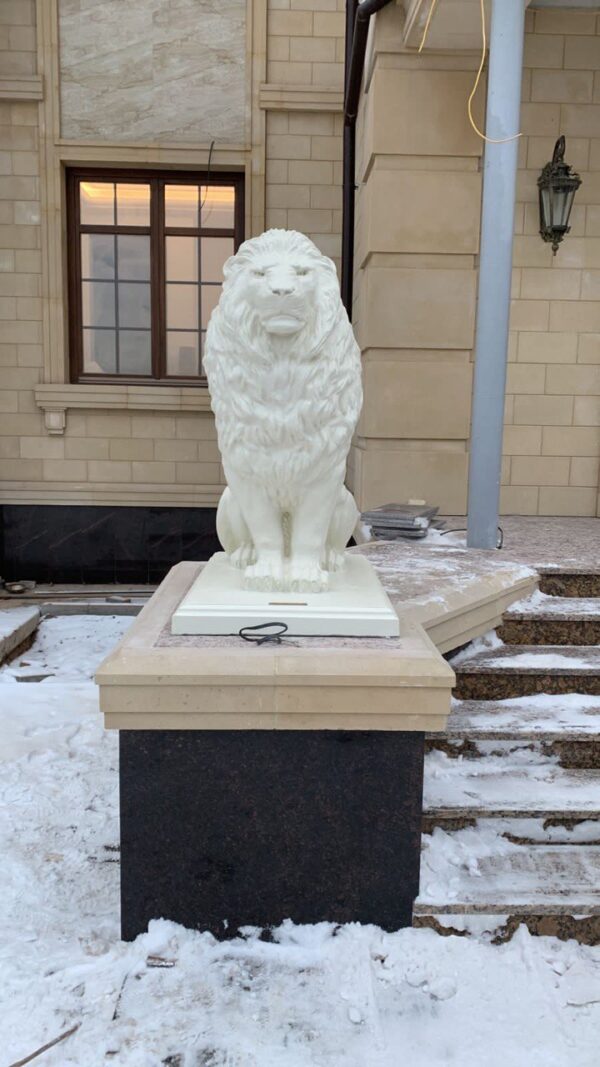 photo1669206851
