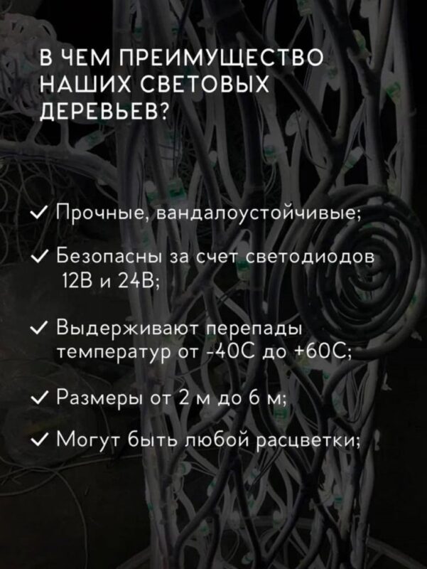 svetovoe derevo 5