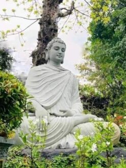 statuya buddy 3