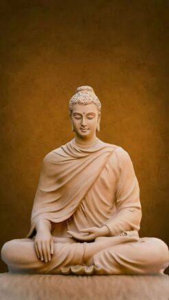 statuya buddy 5