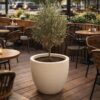 Кашпо Берлин для HoReCa